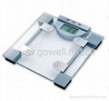 Electronic body scale