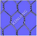 Haxagonal Wire Mesh