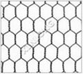 Haxagonal Wire Mesh 2