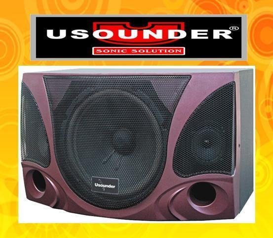 UMH28/30/410 Karaoke Speaker 2