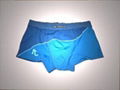 men's boxer 1