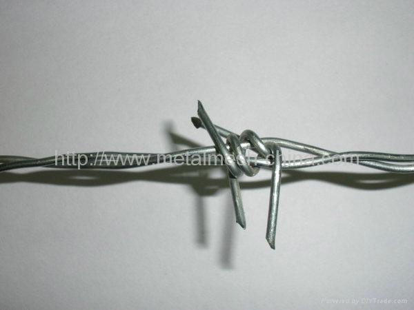 Barbed wire 2