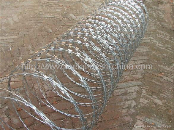 razor wire  3