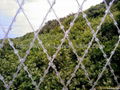 razor wire  5