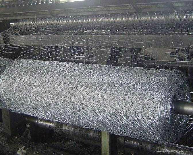 hexagonal wire mesh 2