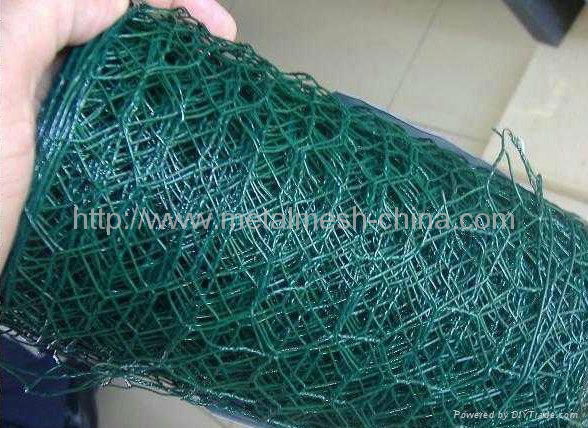 hexagonal wire mesh 5