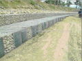  PVC coated and galvanized gabion box 3