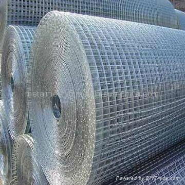 Welded wire mesh 4