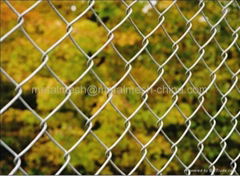 Chain link fence(galvanized or PVC