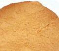 coconut shell powder,coconut shell,coconut shell chips,coconut shell charcoal  1