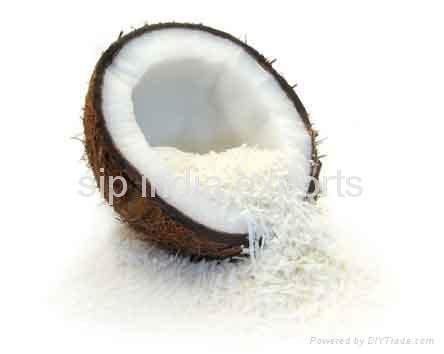 coconut shell powder,coconut shell,coconut shell chips,coconut shell charcoal  2