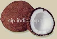 coconut shell powder,coconut shell,coconut shell chips,coconut shell charcoal  5