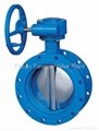 Double Flange Concentric Type Butterfly Valve 1