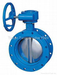 Double Flange Concentric Type Butterfly Valve
