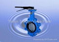 Lug Type Butterfly Valve