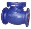 Swing Check Valve