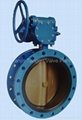 Double Flange Concentric Type Butterfly Valve 2