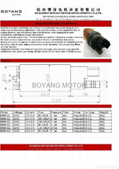 brushless fuel pump