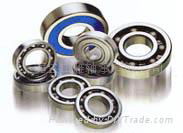 Miniature bearing