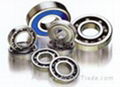 Miniature bearing