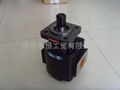 Gear Pump 1