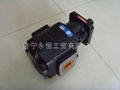 Gear Pump 2