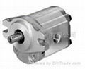 Gear Pump 4