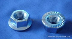 FLANGE NUT