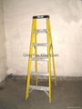 FRP Ladder 3