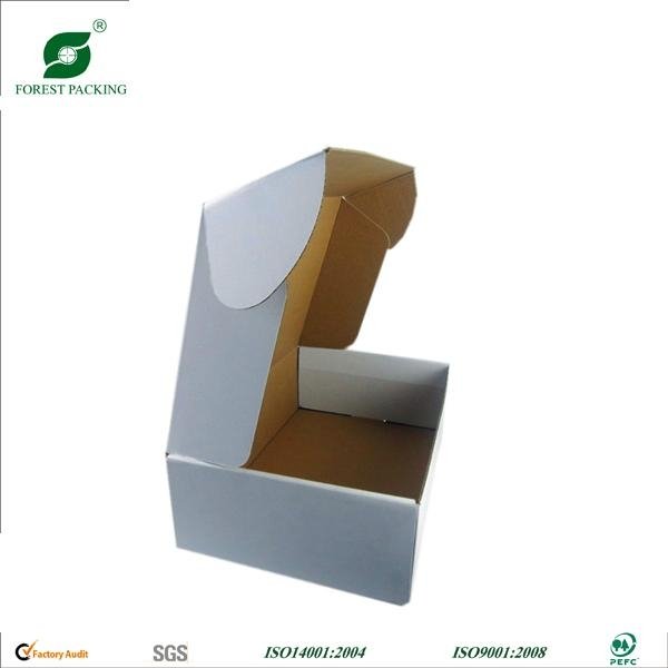 CORRUGATED PACKAGING BOX FP100020 5
