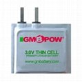 Thin Battery CP502440