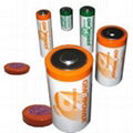 ER34615 ,D size batteries  - Lithium thionyl chloride battery