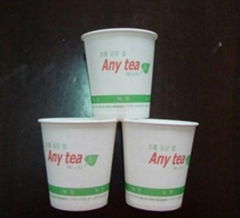 6oz paper cup for dental or tea