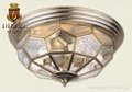 Ceiling Mounted Lamp
