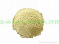 Feed-grade rice protein powder 1