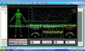 NEW Mini Quantum Magnetic Resonance Health Diagnosis Analyzer & English software 5