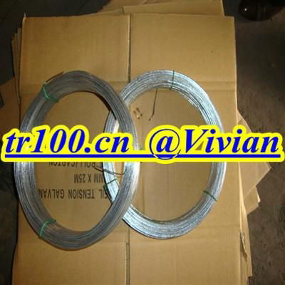 galvanized wire (TIANRUI)