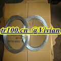 galvanized wire (TIANRUI)