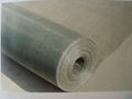 galvanized square wire mesh (TIANRUI) 2