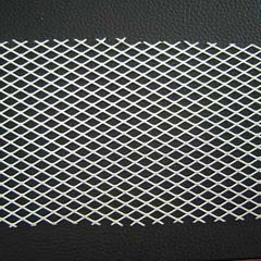 expanded metal mesh (TIANRUI)