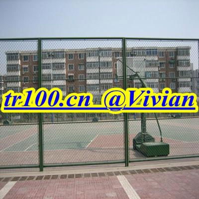 chain link fence (TIANRUI)