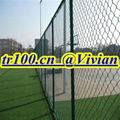 chain link fence (TIANRUI) 3