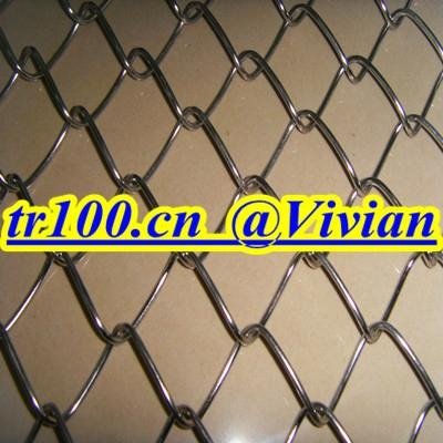 stainless steel chain link fence (TIANRUI)