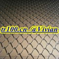 stainless steel chain link fence (TIANRUI) 2