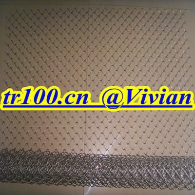 stainless steel chain link fence (TIANRUI) 3