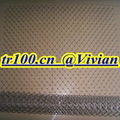 stainless steel chain link fence (TIANRUI) 3