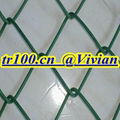 plastic sprayed chain link fence (TIANRUI)