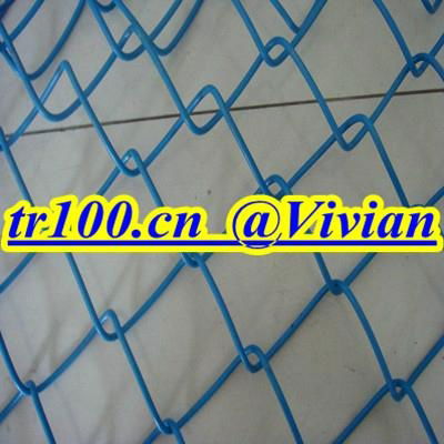 plastic sprayed chain link fence (TIANRUI) 2