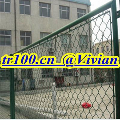 plastic sprayed chain link fence (TIANRUI) 3