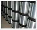 stainless steel wire (TIANRUI) 3